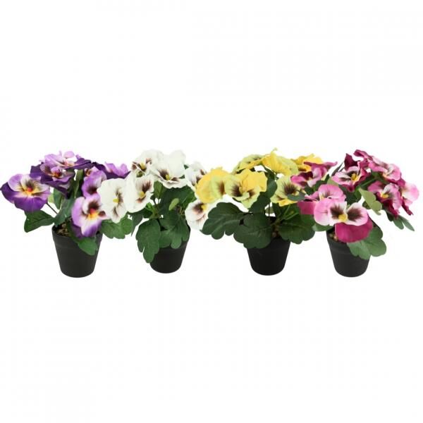 Topfpflanze Stiefmütterchen 21 cm 4 Stück sortiert