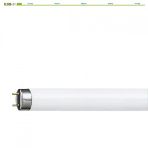 Philips TL-D tube G13 58W 150 cm