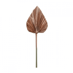 Licht und Leben Blatt Plantae kupferfarben 57 cm