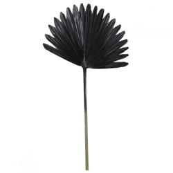 Licht und Leben Blatt Plantae schwarz 78 cm