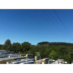 2. Wahl Sandwichpaneele und Dachpaneele– günstig und vielseitig einsetzbar **SOFORT ab LAGER**