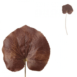 Countryfield Art Leaf Monstera Jay M 36 cm