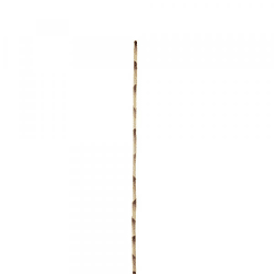 Parlane Künstlicher Zweig Bambus gelb/braun 100 cm