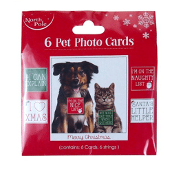 Christmas cards with graphics for PET pets
