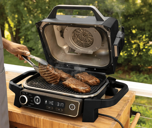 Ninja Woodfire OG701 Elektrischer Outdoor Grill & Smoker – Neu