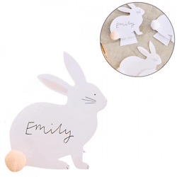 Ginger Ray naamkaartjes Bunny pompoms set van 6
