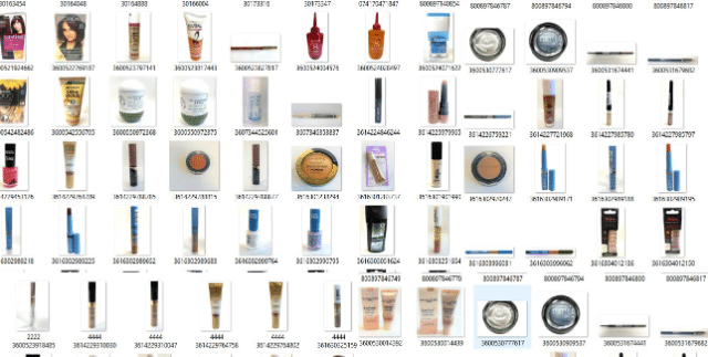 LOREAL, Bruno Banani; Maybelline, LA Provencale, Manhattan, Elvive, Elvital, Max Factor,  Elseve, ElnettRimmel, Garnier, MISS SPORTY, FRUSTI
