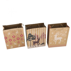 Weihnachtsgeschenktüte 