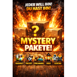 MYSTERY - SECRET PAKETE 2026 - DIE HAMMERHARTE NEUHEIT FÜR WIEDERVERVERKÄUFER - Promotional goods - Electrical Household Deco Leisure Fashion 