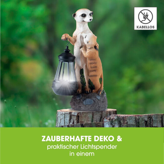 Solar-Erdmännchen-Familie / Preis auf Anfrage! 