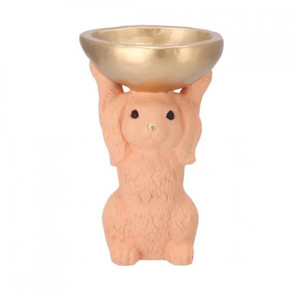 Schale Kaninchen orange 23 cm