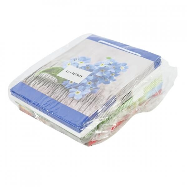 Geschenktas 21,5 cm 5 assorti