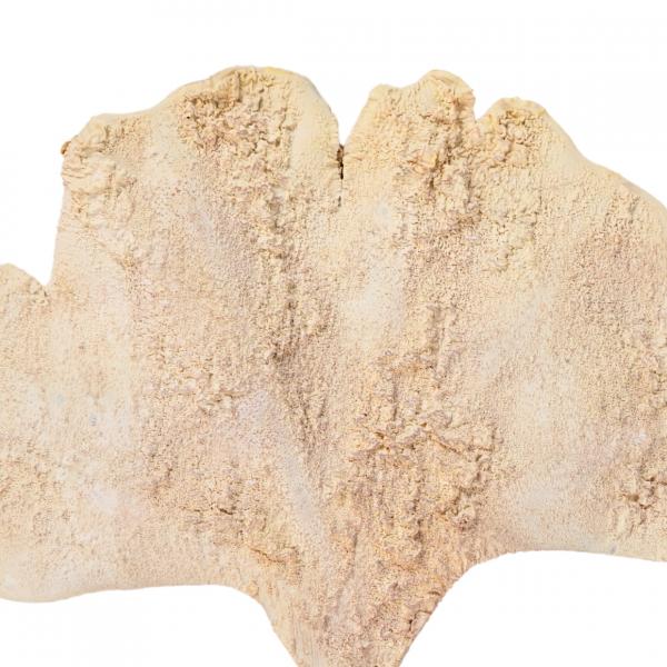 Künstlicher Ginkgo-Blatt-Zweig beige 97 cm