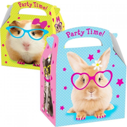 Treat box pets 18 cm