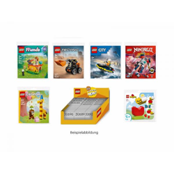 LEGO® 6554617 - Novelties - Recruitment Bags / Beutel - Display