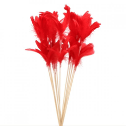 Feathers on stick 72 cm set of 12