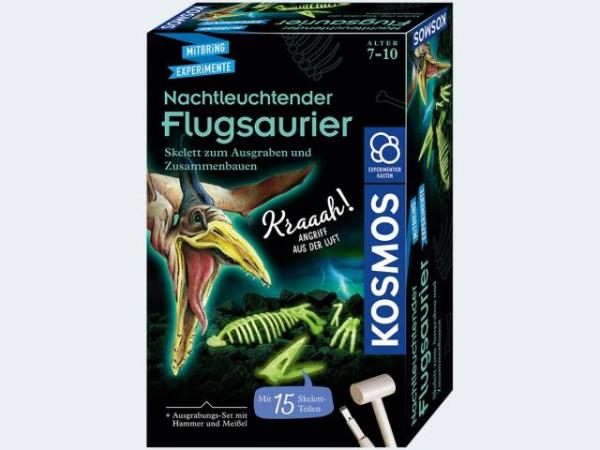 Kosmos 636166 - Nachtleuchtender Flugsaurier