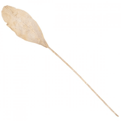 Artificial palm leaf beige 103 cm