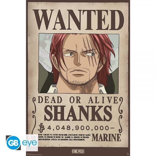 ONE PIECE - Maxi Poster 91,5 x 61 cm