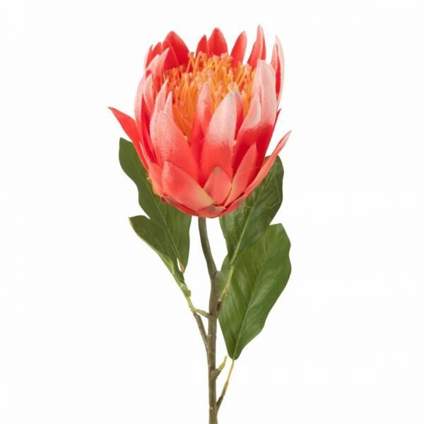 J-Line kunstbloem Protea rood 68 cm