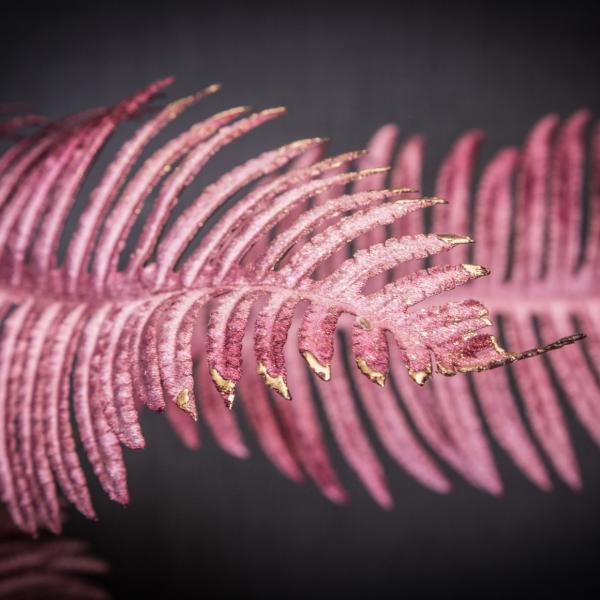 PTMD künstlicher Zweig Farn Samt bordeaux 99 cm