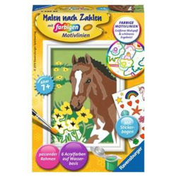 Fohlen - Malen nach Zahlen