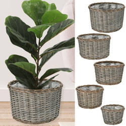 Planting basket, rattan, set of 5, approx. 37cmD