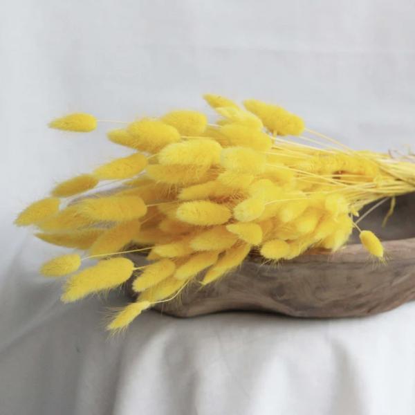 Trocknende Äste Lagurus gelb 75 cm