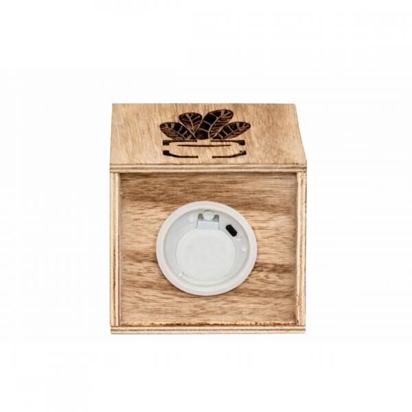 Out of the Blue künstliche Pflanze LED auf Batterie 18 cm 3 sortiert