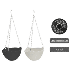 Blumenampel, Madeira, 2/s, ca. 25cmD