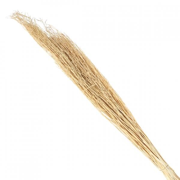Bündel getrocknetes Sarasgras natur 110 cm