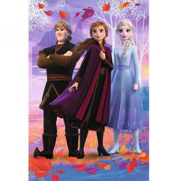 Disney Frozen 2 - Mini Puzzle 54 Teile - Display