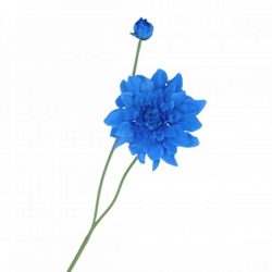 Künstliche Blume Dahlie Spike blau 78 cm