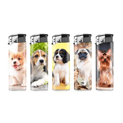 Dog - electronic lighter - 5 assorted