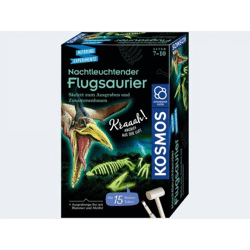 Kosmos 636166 - Noctilucent flying dinosaur