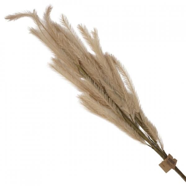 Künstliche Astfedern hellbraun 108 cm