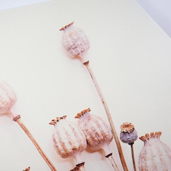 Wanddekoration Mohnholz 58 cm