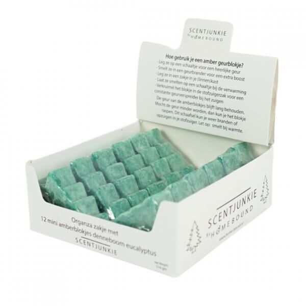 Amber block Pine tree eucalyptus 7 cm