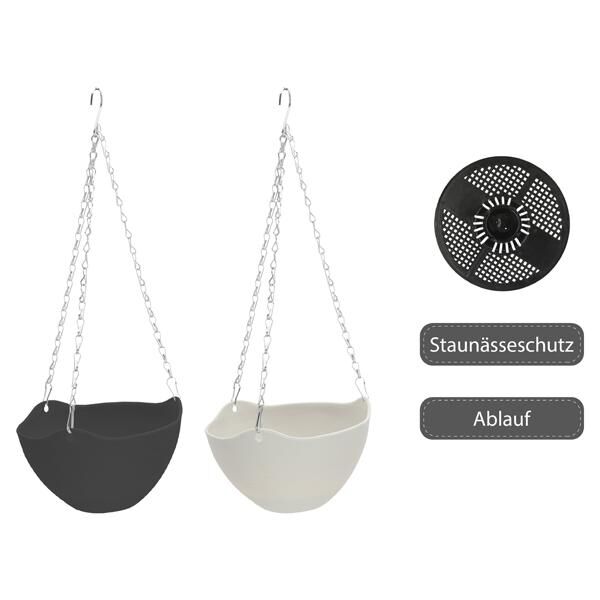 Blumenampel, Madeira, 2/s, ca. 25cmD