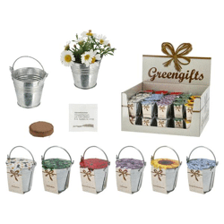 Zinc bucket mini with coconut swelling pad and seeds, flowers, 6/s