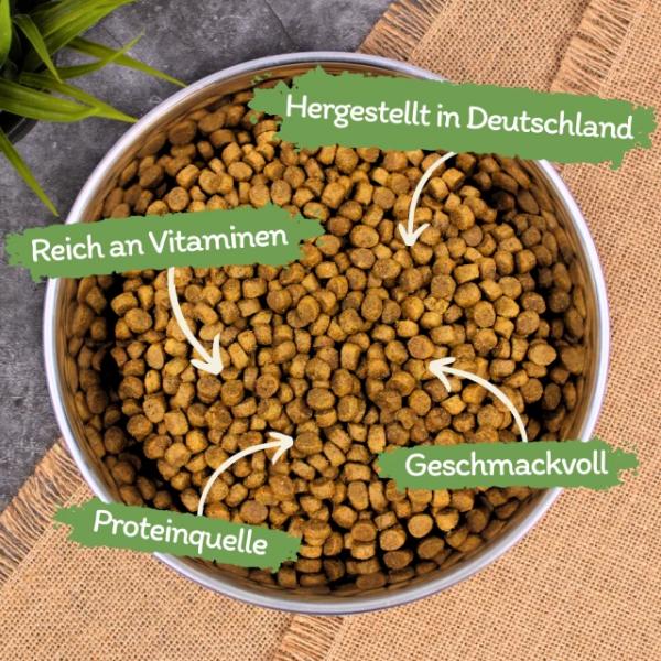 2,5 kg Lecker.Pet® Leo's Adult Geflügel & Forelle Katzenfutter Trockenfutter Vollnahrung MHD 4/2026