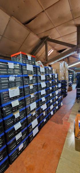 BELSIRA Rockabilly Damenmode – ca. 10.000 Teile – Insolvenzposten zum TOP-Preis