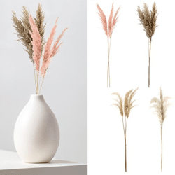 Pampas grass, Style 2, 4/s, bunch of 3, ca.90-100cmL
