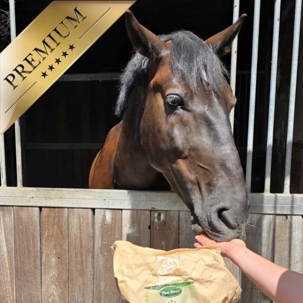 15 kg Lyra Horse® English Mash Original Pferdefutter MHD 2/2027