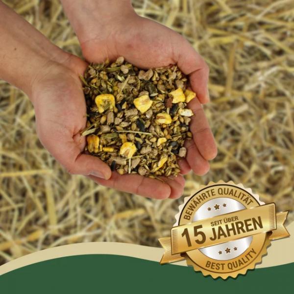 15 kg Lyra Horse® English Mash Original Pferdefutter MHD 2/2027