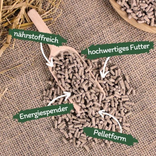 3,8 kg Lyra Horse® Senior Mineralfutter im Eimer MHD 9/2026