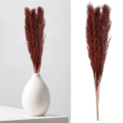 Pampas grass, brown, bunch of 3, approx. 100-115cmL