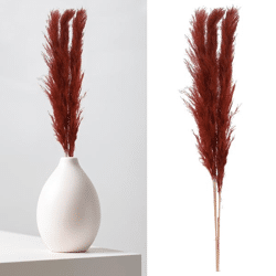 Pampas grass, brown, bunch of 3, approx. 140-160cmL