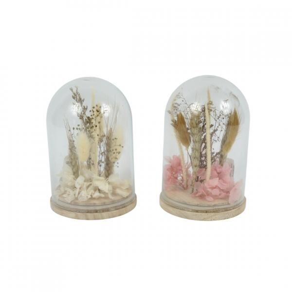 Trockenblumen in Glasglocke weiß/rosa 16 cm 2 Stück sortiert