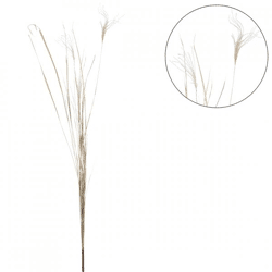 Trockenzweig Pampas natur 150 cm